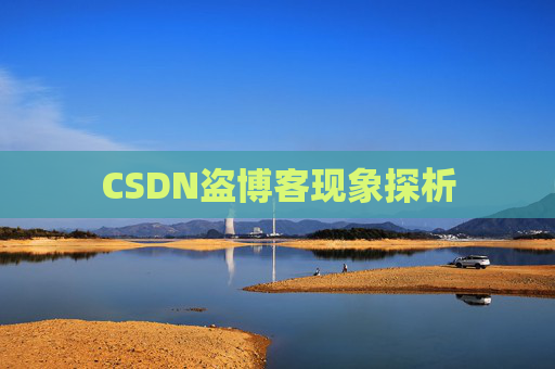 CSDN盗博客现象探析